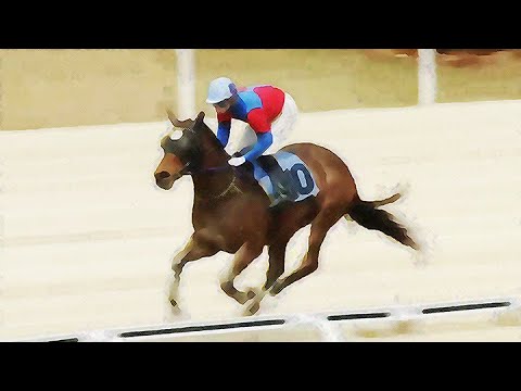 9/27-(토)-손석범-메인15.5배/승부42.0배[가야할마필]또,복병/중배당+한방의힘/다적중까지..!!