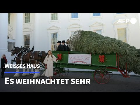 Melania Trump nimmt Weihnachtsbaum entgegen | AFP