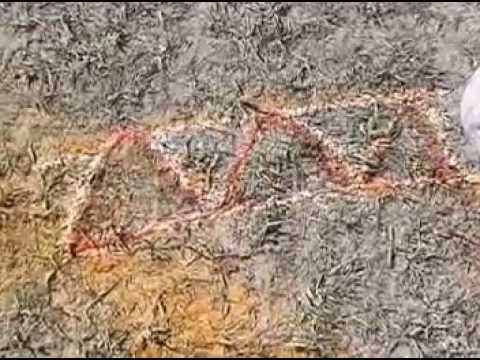 Chinna Jeeyar Swami Manasa Sarovara Kailasa Yatra HIMALAYAS