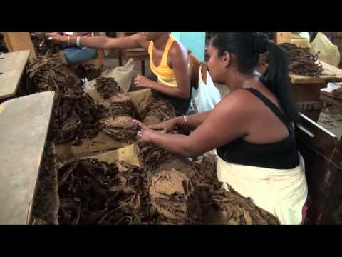 download lagu mp3 mp4 Vuelta Abajo, download lagu Vuelta Abajo gratis, unduh video klip Vuelta Abajo