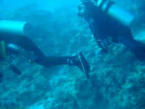 Behindertentauchen, Dahab - allgemein,Ägypten