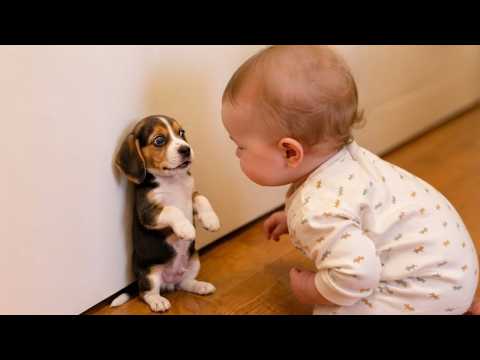 My Dog Got Jealous Of The Baby… Then This Happened 😂🐶
