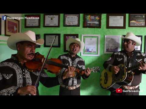 El Trío Los Hidalguenses  toca "La Presumida"