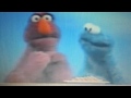 Telly Fast And Cookie Monster Slow