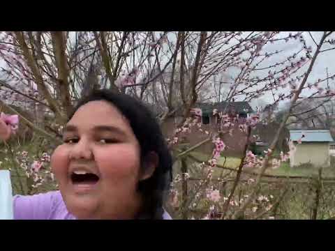 Beauty of Nature 😄