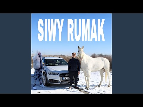 Siwy Rumak