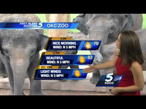 Forecast: Nice Sunday weather