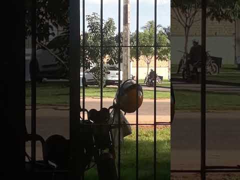 grande Cametá Pará