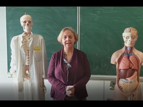 Medizinische Dokumentation: ein Gesundheitsberuf mit Zukunft