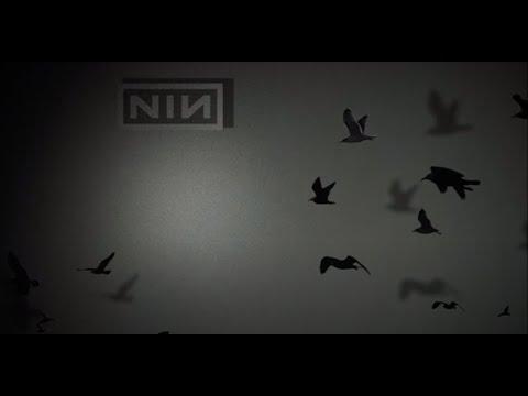 Best of Trent Reznor Ambient and Instrumental music. 4.5hrs !