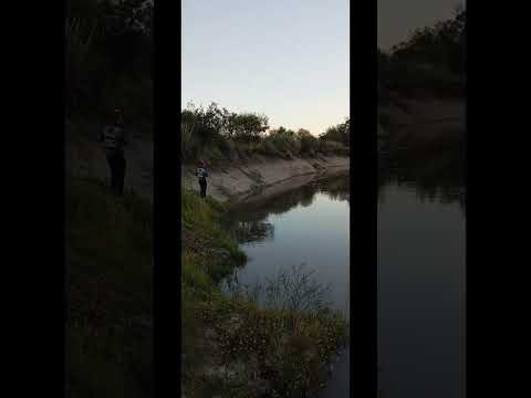 Moncholo de 2 Kg Rio Gualeguay. Villaguay, Entre ríos 🎣🎣 #pesca #fishing #pesca