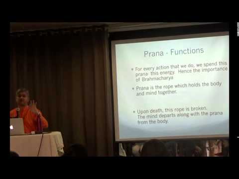 Meditation & Life   Talk 3   Power of Prana & Deep Breathing