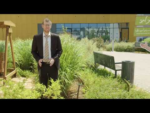 Gan HaMitzvot#2- In My Garden