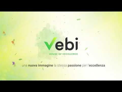 Vebi - House Of Excellence