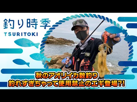 秋のアオリイカ釣り釣れすぎちゃって使用禁止のエギ登場？！（釣り時季/2021年10月10日放送）