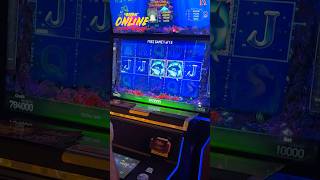 BIG WIN на слотах #хозяинказино #casino #slot