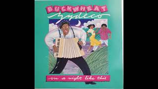 Buckwheat Zydeco – Space Zydeco