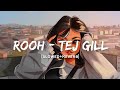 Rooh - Tej Gill Song | Slowed And Reverb Lofi Mix