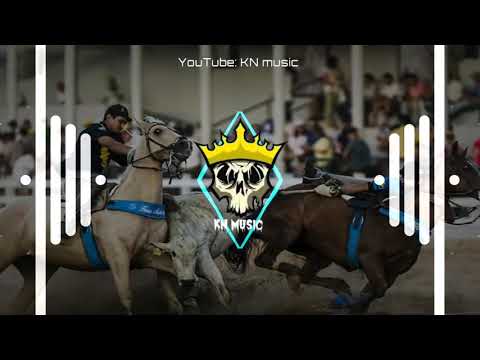 Eu apoio a vaquejada - banda paixão di vaqueiro