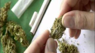 Mono & Nikitaman´Gras ist legal