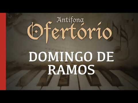O Insulto Me Partiu O Coração - MÚSICA PARA MISSA