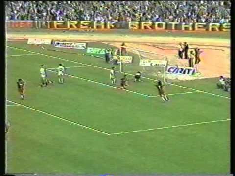 1989-05-14. TERNANA-RICCIONE 2-0 (sintesi), by BARCAROTTI MARCO