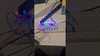 Embedded Systems - Task 3 Binary to LED Test 1