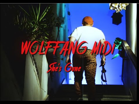 Wolf Fang MIDI — She’s Gone
