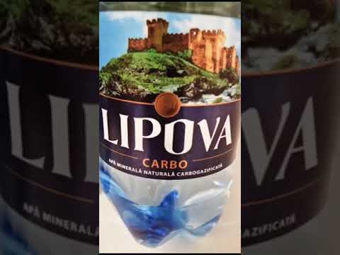 DE CE APA LIPOVA ESTE FOARTE IUBITĂ LA EA ACASĂ? ⬇️⬇️