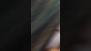 Download lagu Pulang sekolah belum ganti baju mp3