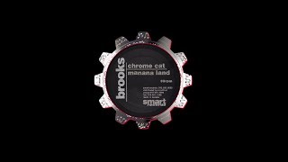 Brooks (Brooks Mosher) - Chrome Cat [1995]