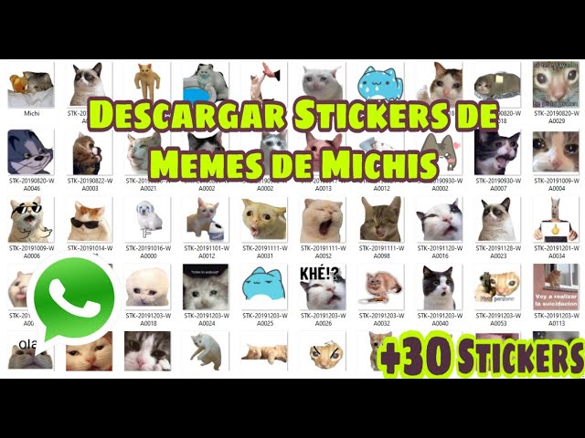 Vídeo relacionado con 100 pegatinas de memes de gatos, impermeables y resistentes al sol, impresión de alta definición, pegatina meme, pegatinas