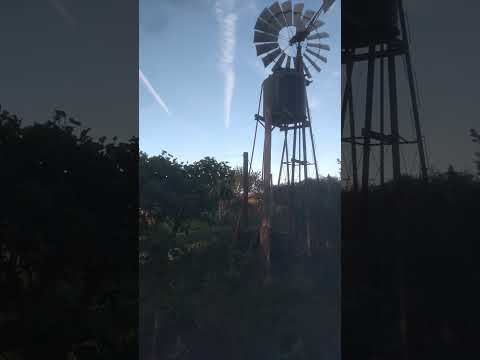 "Mis Sueños"  Humberto 1° Santa Fe Argentina