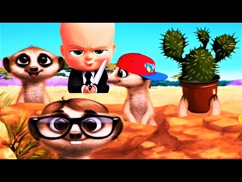 Fun Animal Care Baby Games - Catch the meerkats, Jungle Animal Hair Salon 2 by TutoTOONS,Baby Games