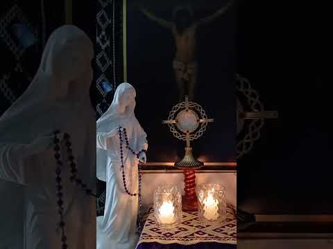 Adoracion Al Santisimo Sagramento del Altar con el Padre Fabian Esteban Oliva. 17/09/26