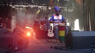 KUSH MCANUFF  Black to I roots
