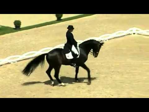 Steffen Peters & Ravel,Aachen CDIO5* 2011