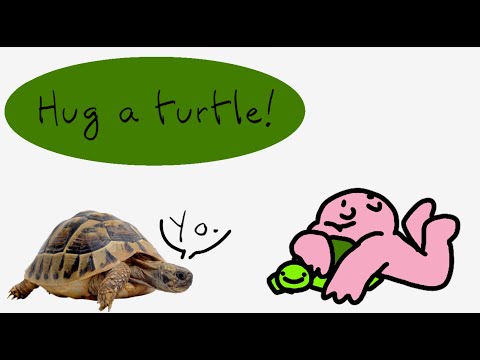 Hug A Turtle