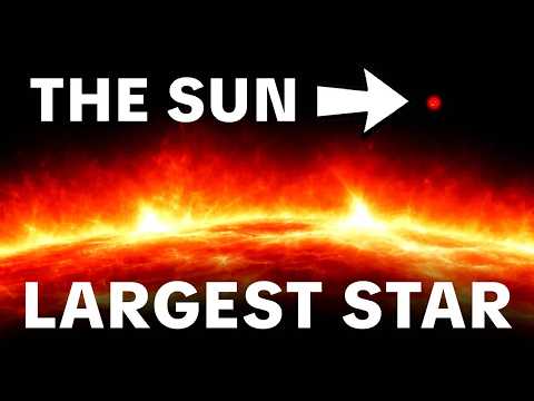 The Largest Star In The Universe