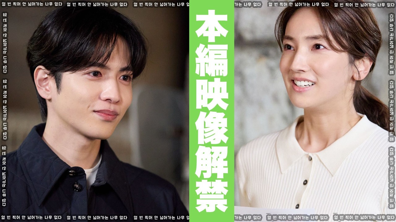 10回切って倒れない木はない