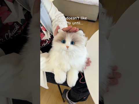 Matecat is just like a real cat! #chongker #chongkerplush #catbag #robotcat