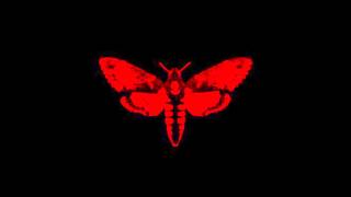 Lil Wayne (Ft. 2 Chainz) - Days and Days (Perfect) 228VBR