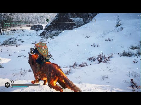 Assassin's Creed Valhalla Bester Eisbärenfelle Farmspot