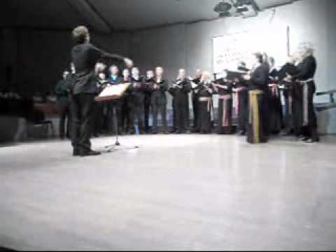 Video Flash Seghizzi 2011 - Chamber choir Collegium Musicale (Estonia)