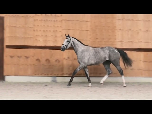 Gaits