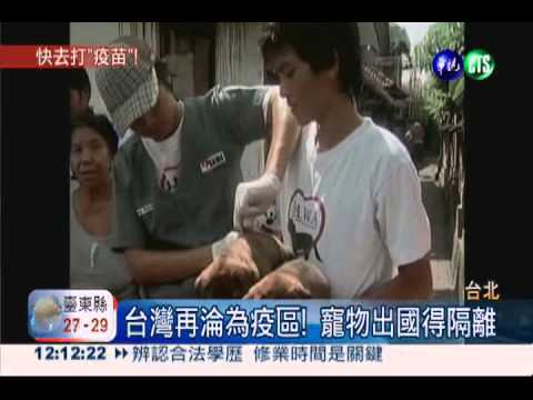 狂犬病捲土重來 8成寵物沒打疫苗