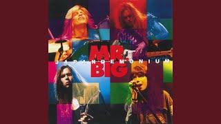 Download lagu Green-Tinted Sixties Mind mp3