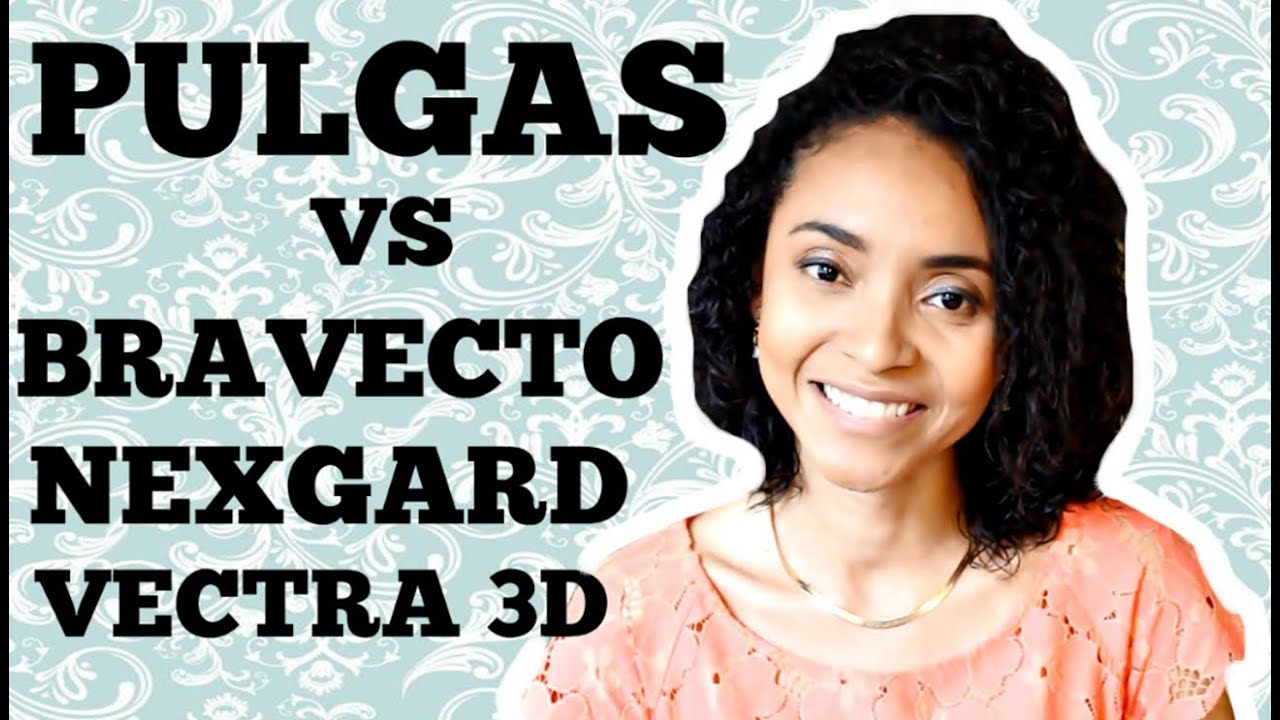 PULGAS VS NEXGARD, BRAVECTO E VECTRA 3D Novos produtos do mercado em HD