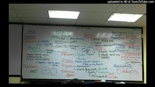 13) Dr. wael salah ttt of HSV keratitis till end of non infective corneal ulcer (general)