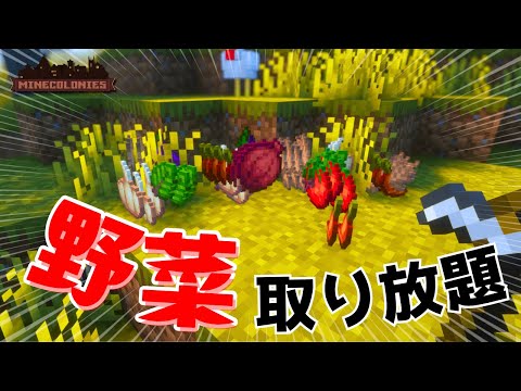【マイクラ】#4 Minecraft, But 野菜がバンバン採れる🍅【マインコロニー】